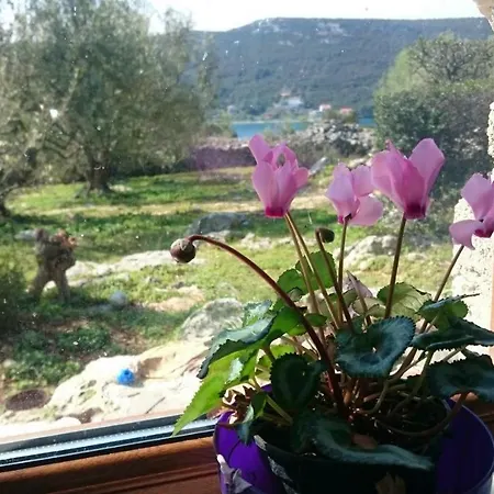 Holiday Home Strpuncina Luka  Exterior foto