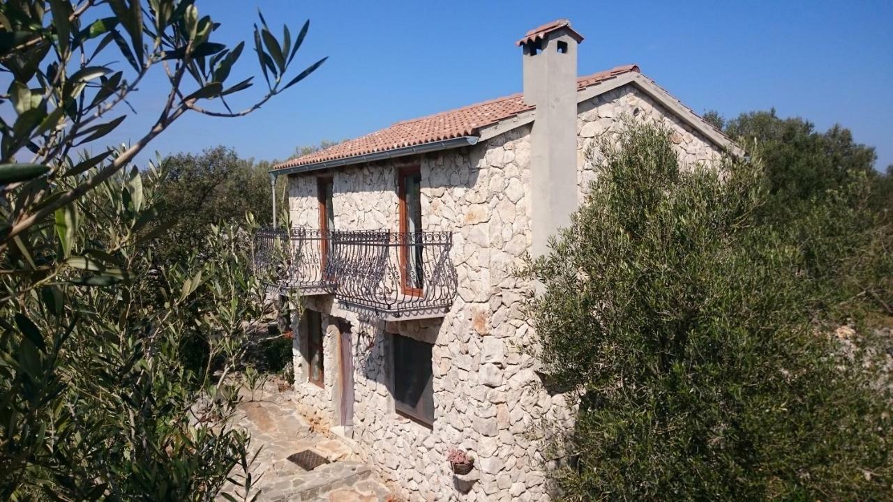 Strpuncina *