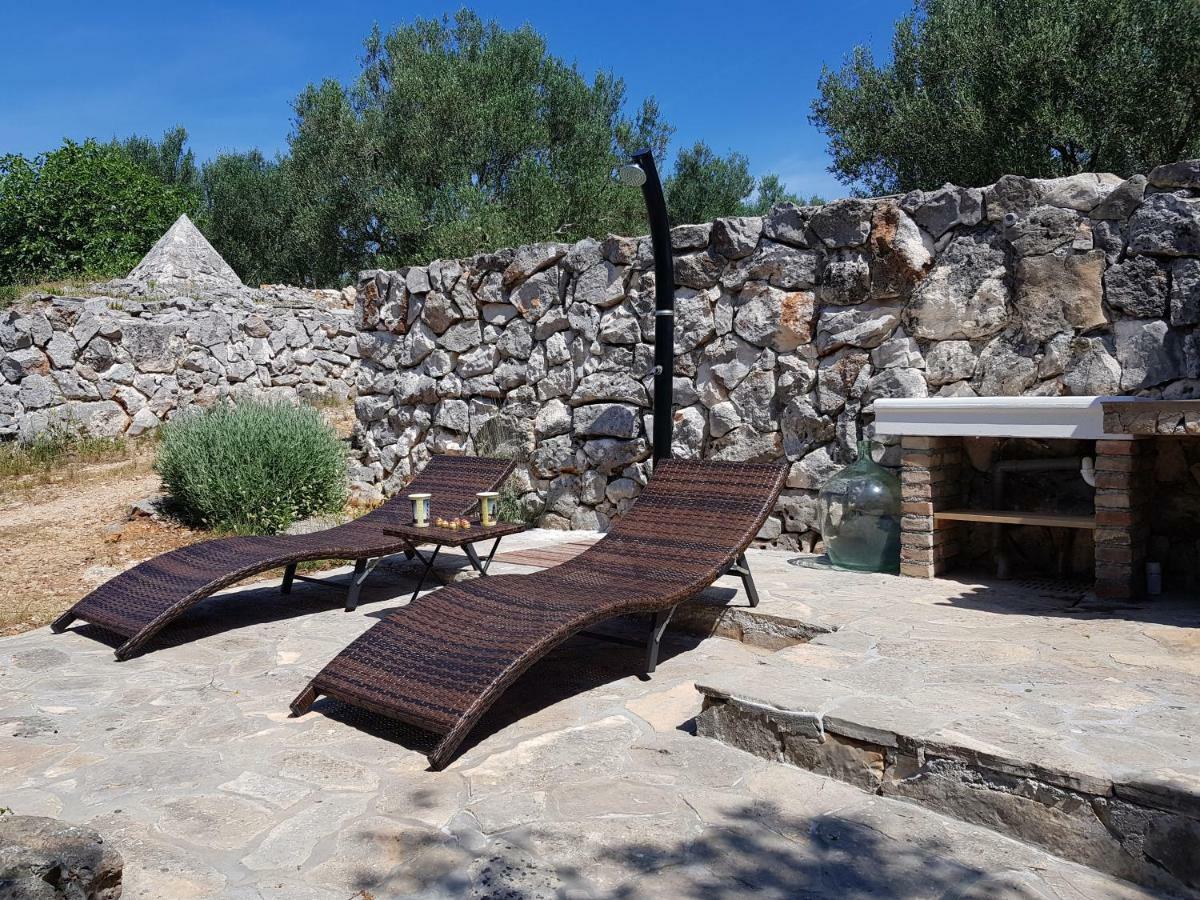 Strpuncina * Luka (Dugi Otok)